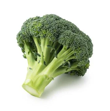 Broccoli placed on a white background Stock Photos