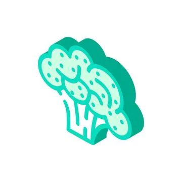 Broccoli plant isometric icon vector illustration Stock Illustration