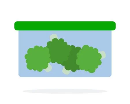 Broccoli in a plastic container flat isolated Stock Illustration