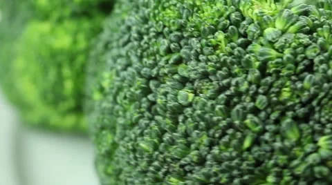 Broccoli on a plate Stock Footage 8574593