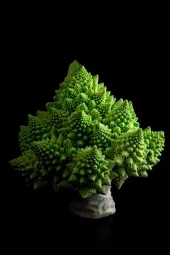 Broccoli Romanesco Stock Photos