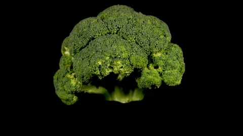 Broccoli Rotating 库存影片 123921559