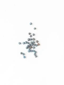 Broccoli seed Stock Photos