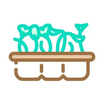 Broccoli seedlings color icon vector illustration Stock Illustration