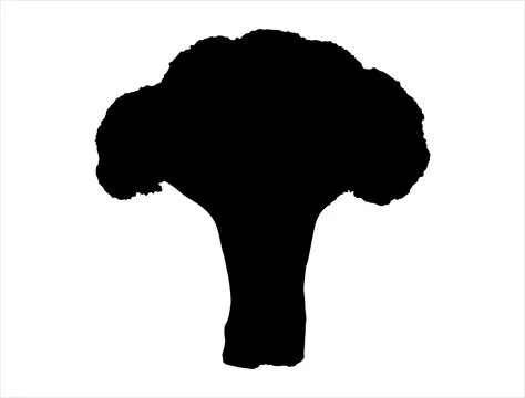 Broccoli silhouette vector art Stock Illustration