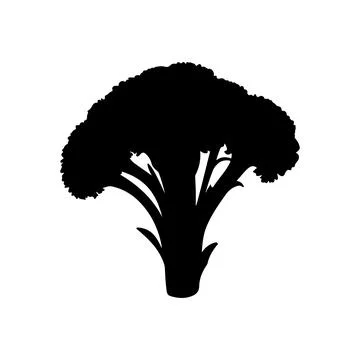 Broccoli silhouette vector art on white background Stock Illustration