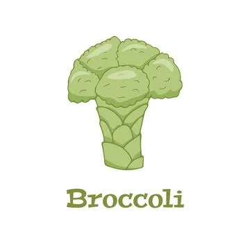 Broccoli, simple flat vector illustration logo on a white background Stock Illustration