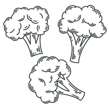 Broccoli sketch set イラスト素材
