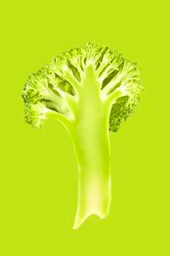Broccoli slice isolated. Stock Photos