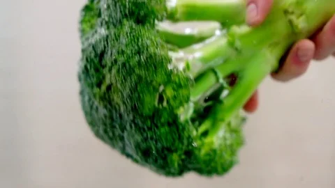 Broccoli in slow motion Stock Footage 76041194