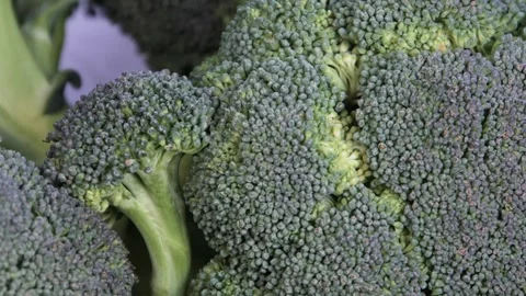 Broccoli is spinning on the table Stock Footage 304518002