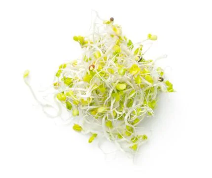 Broccoli Sprouts Isolated On White Background Stock Photos