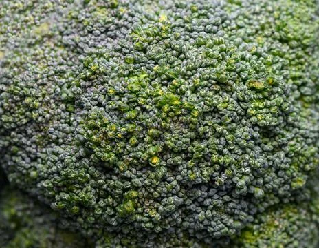 Broccoli static, in close-up view, with broccoli, with vegetable texture, f.. Stock Photos