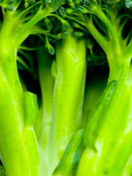 Broccoli stem Stock Photos