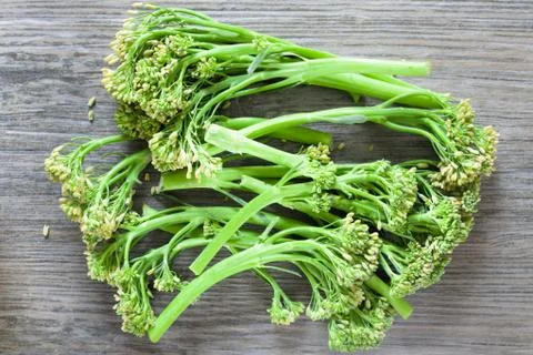 Broccoli stems Stock Photos