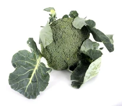 Broccoli in studio Stock Photos