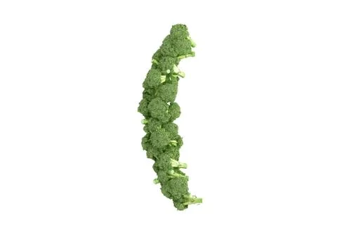 Broccoli symbol ( on white background Stock Illustration