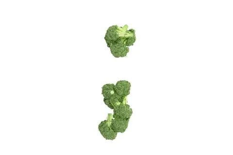 Broccoli symbol ; on white background Stock Illustration