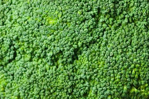 Broccoli texture Stock Photos