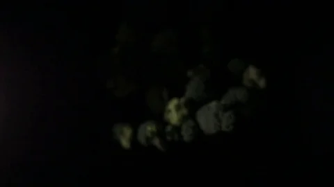 Broccoli turning on black background Stock Footage 82848207