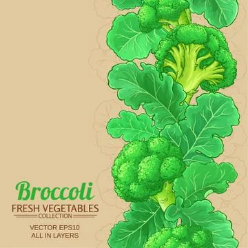 Broccoli vector background Stock Illustration