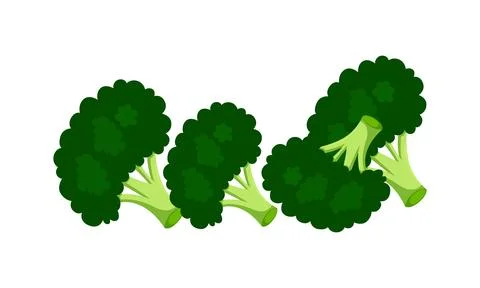 Broccoli Vector Design And Illustration. Illustrazione stock