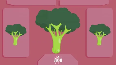 broccoli - Vector Graphics - Food Anima... | Stock Video | Pond5