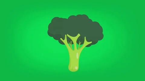 Broccoli  - Vector Graphics - Food Animation - green Stock Footage 61277470