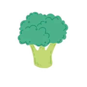 Broccoli vector illustration. Cartoon style Stock Illustration