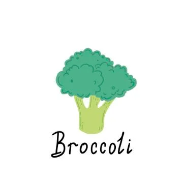 Broccoli vector illustration. Cartoon style Stock Illustration