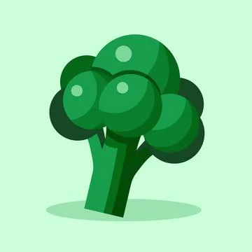 Broccoli vector illustration. Stock Illustration