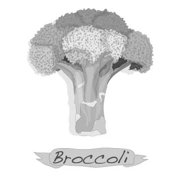 Broccoli vector isolated Stock Illustration
