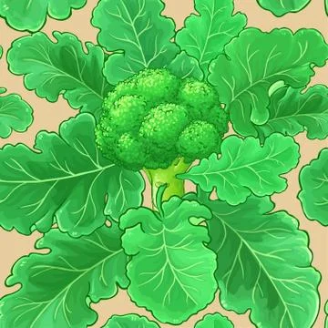 Broccoli vector pattern Stock Illustration