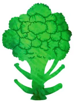 Broccoli vector with water color Stock Illustration