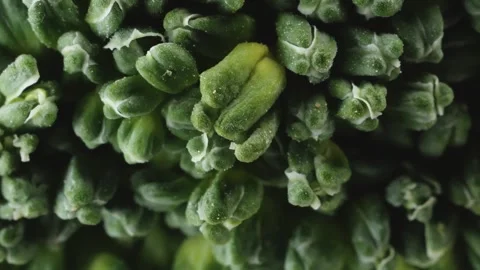 Broccoli vegetable extreme macro close up with a rotating camera motion sto.. Stock Footage 328594770