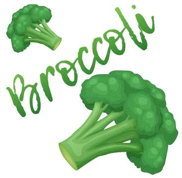 Broccoli vegetable icon. Cartoon vector illustration isolated on white Stock Illustration