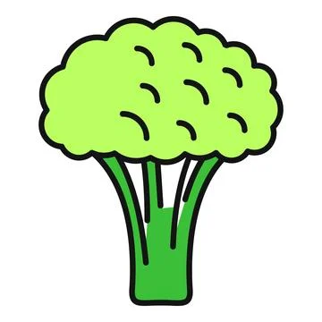 Broccoli vegetable icon representing healthy organic food イラスト素材