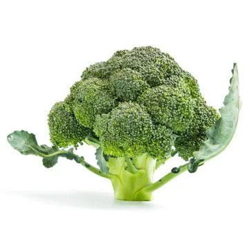 Broccoli vegetable isolated on white background Stock Photos