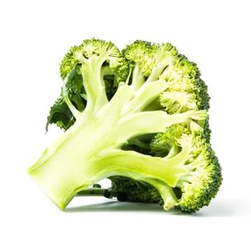 Broccoli vegetable isolated on white background Stock Photos