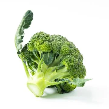 Broccoli vegetable isolated on white background Stock Photos