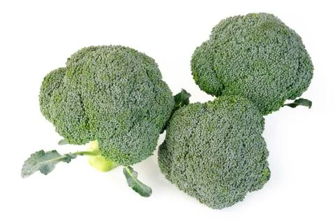 Broccoli vegetable isolated on white background Stock Photos