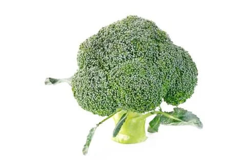 Broccoli vegetable isolated on white background Foto stock