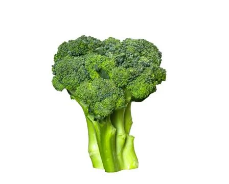 Broccoli vegetable isolated on white background Stock-Fotos