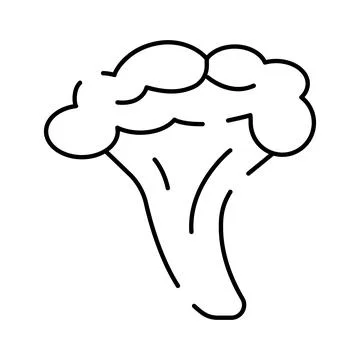 Broccoli vegetable line art icon illustration concept Illustrazione stock