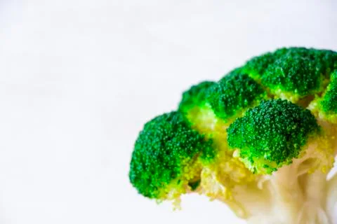 Broccoli vegetable macro and close-up on the white background Stock Photos