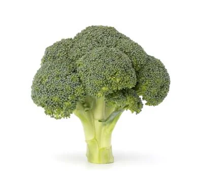 Broccoli vegetable Stock Photos