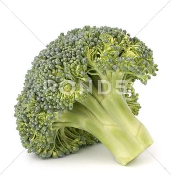 Broccoli vegetable Stock Photos