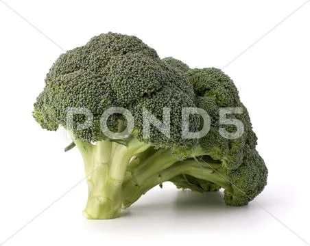 Broccoli vegetable Stock Photos