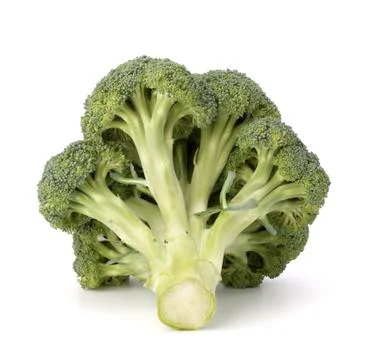 Broccoli vegetable Stock Photos