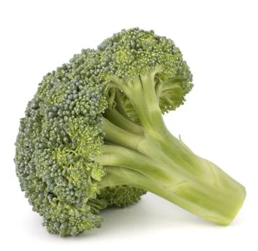 Broccoli vegetable Stock Photos